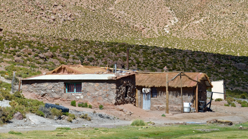 01 - Désert d'Atacama (31).jpg